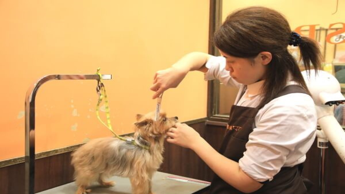 PET-SPA ひたち野うしく店(ホテル)