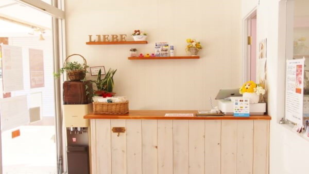 Dog Salon Liebe