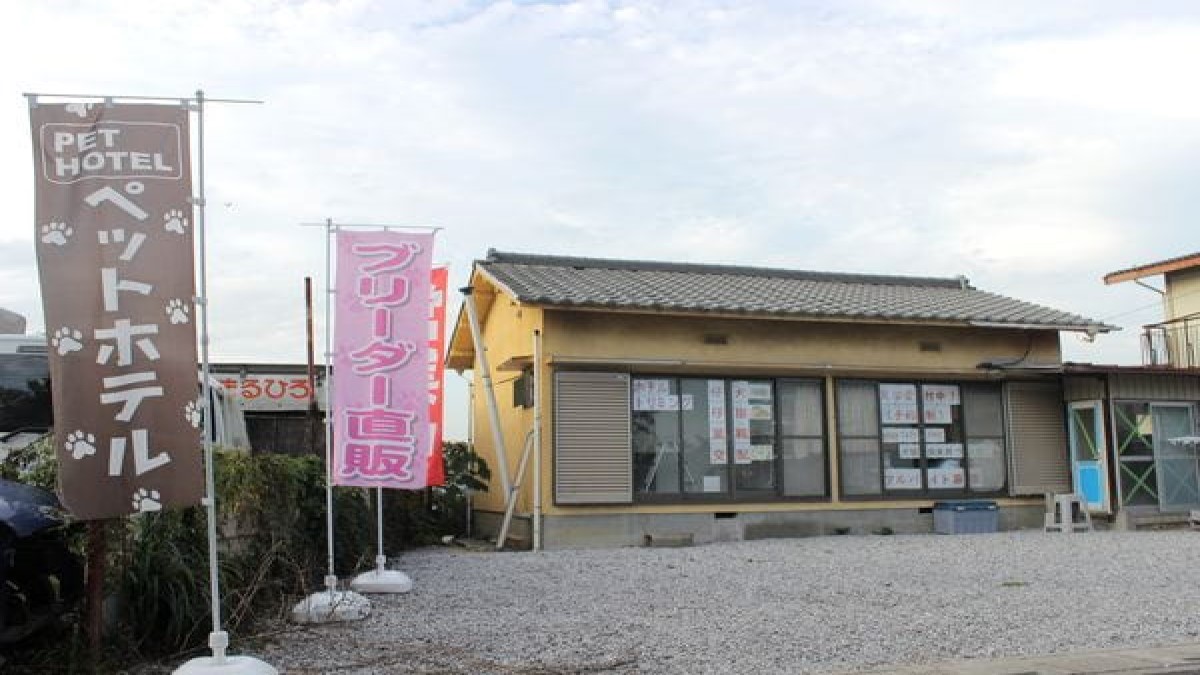 犬猫倶楽部 ウィズ 上尾店(ホテル)