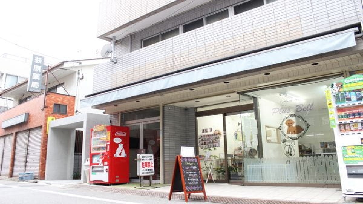 ドッグビューティーサロン Plus Bell(ホテル)