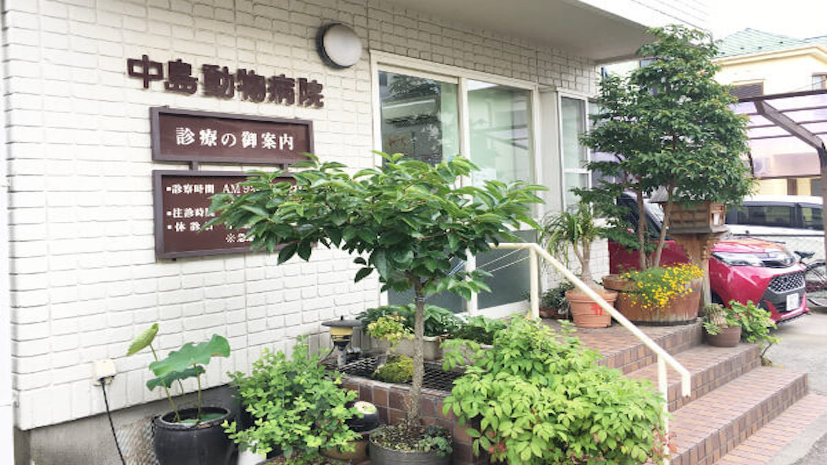 中島動物病院