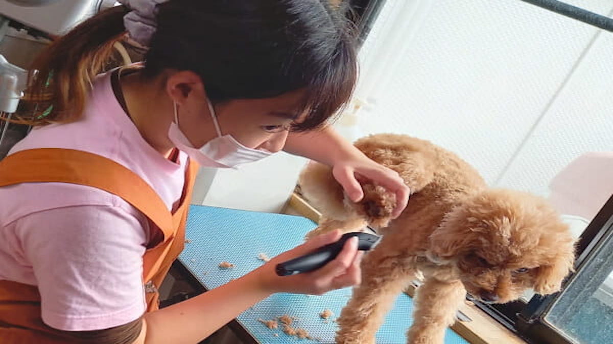 ワンだぁハウスラン(ホテル)