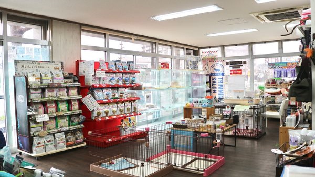 Pet’s Salon パレハ