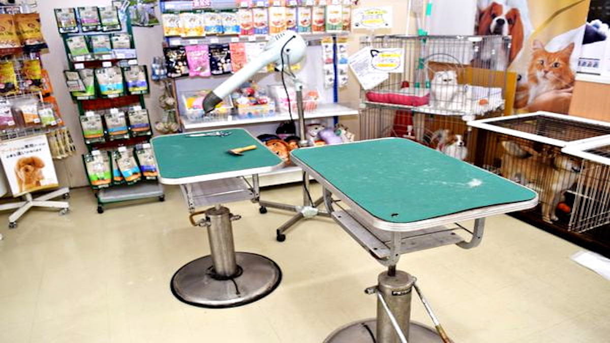ペットサロン グレース(ホテル)