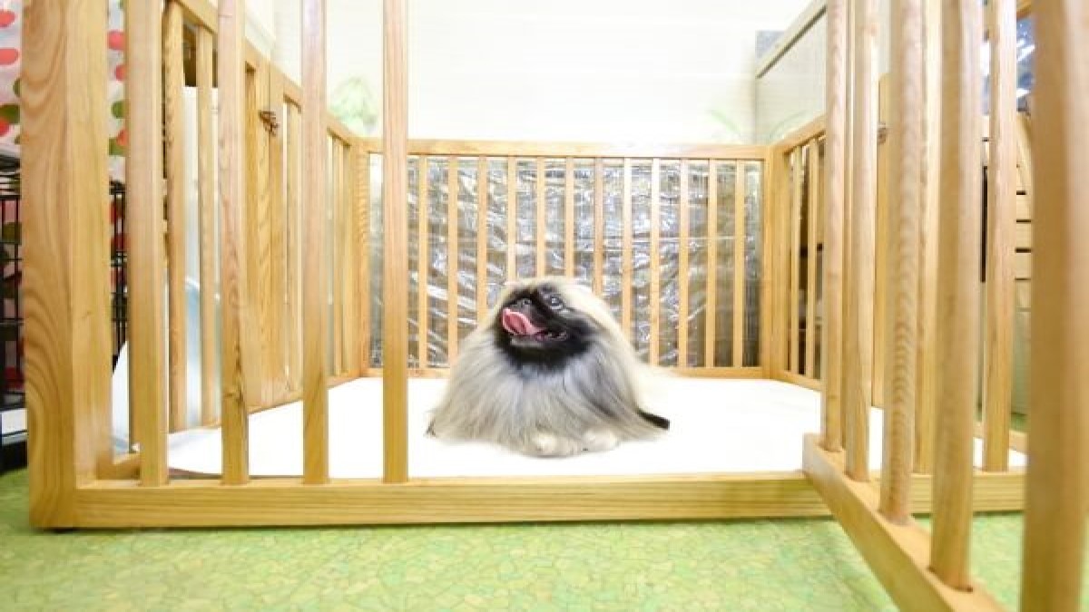 ドッグハウス ロン(ホテル)