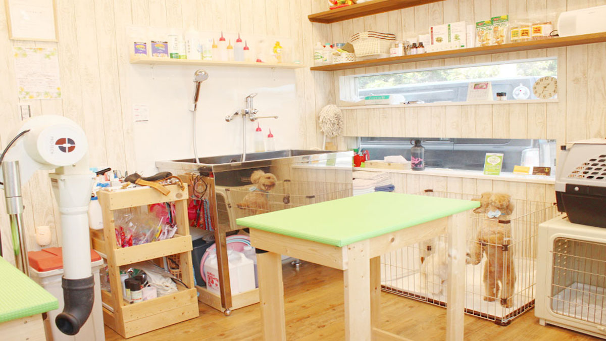 toaru dog salon とあるドッグサロン