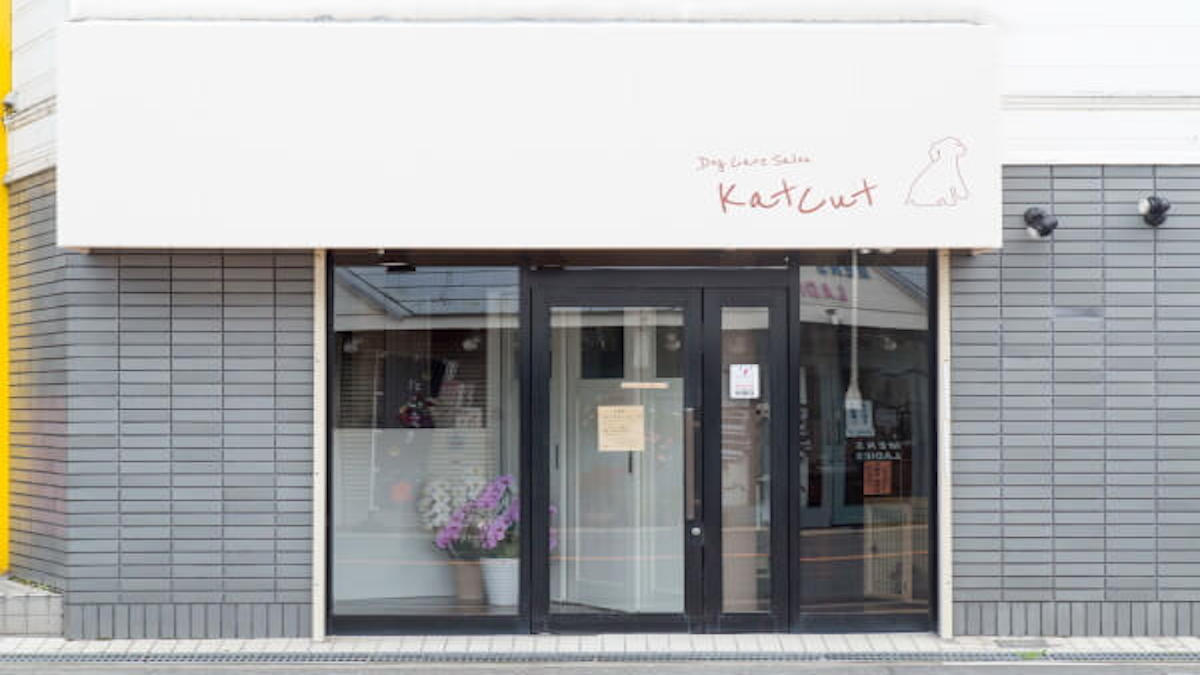 DogCareSalon KatCut