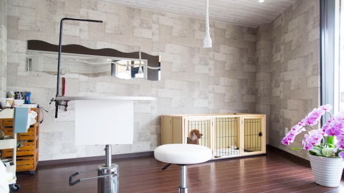 DogCareSalon KatCut