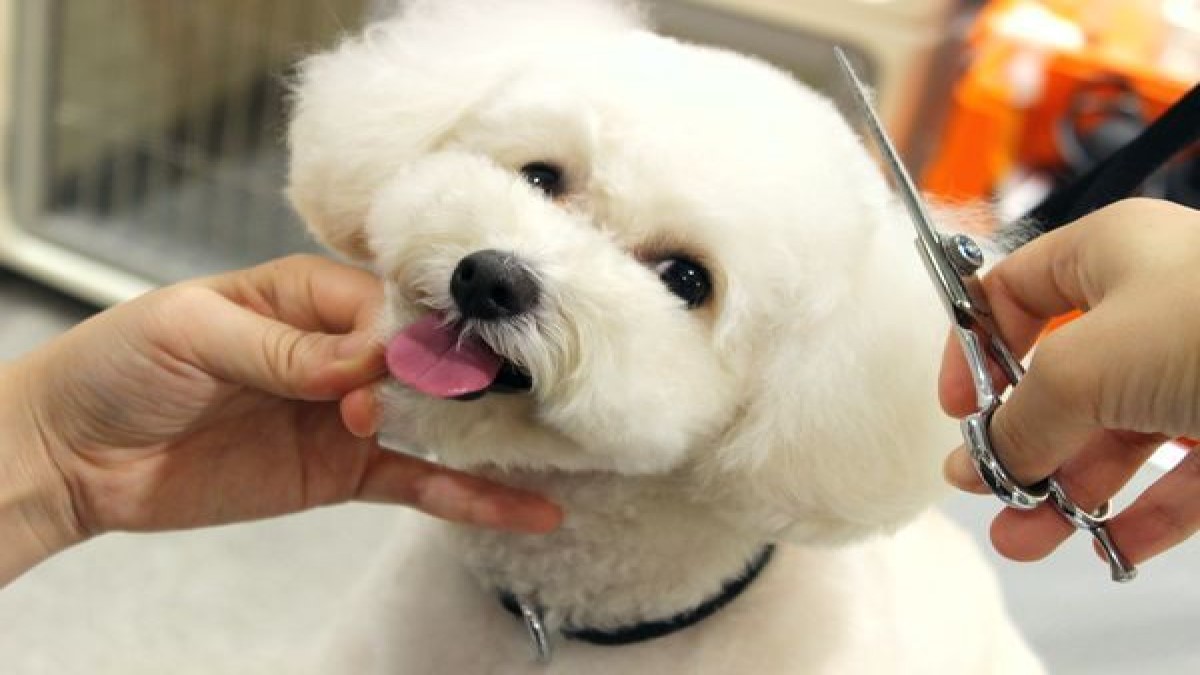 PET-SPA 金沢文庫店