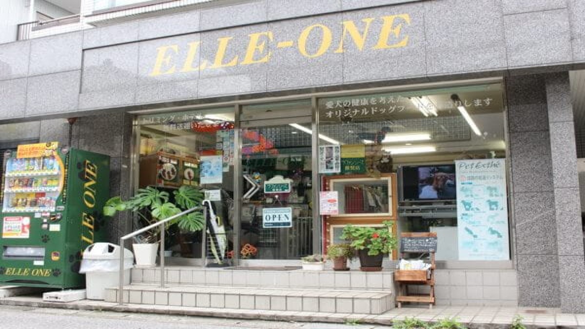 ELLE-ONE 南行徳店