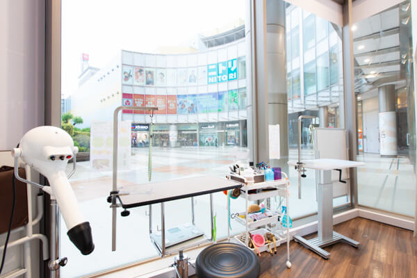 PET-SPA オリナス錦糸町店