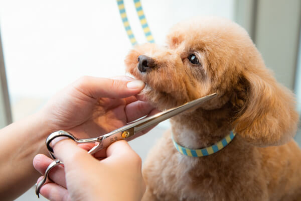 PET-SPA オリナス錦糸町店