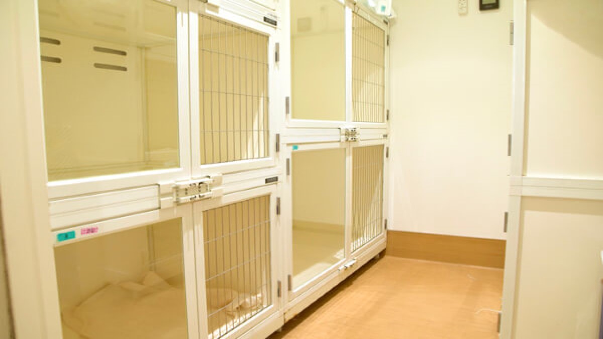 PET DESIGN 自由が丘店