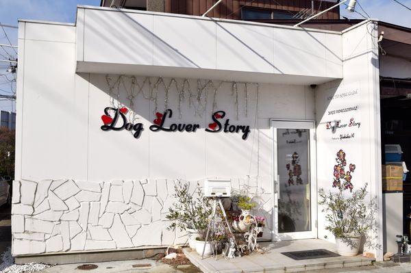Dog Lover Story