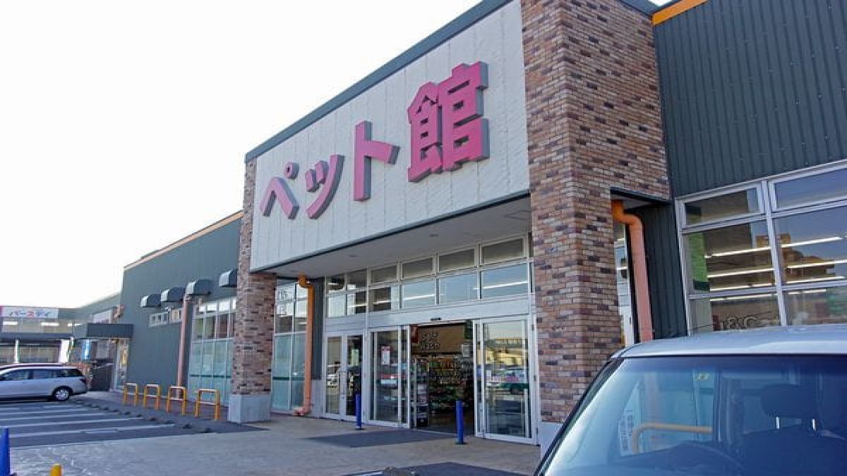 ペットショップノア 相模原橋本店
