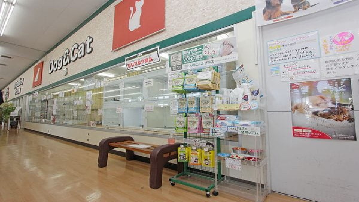 ペットショップノア 相模原橋本店