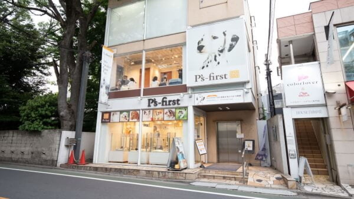 ペッツファースト自由が丘動物病院(サロン)