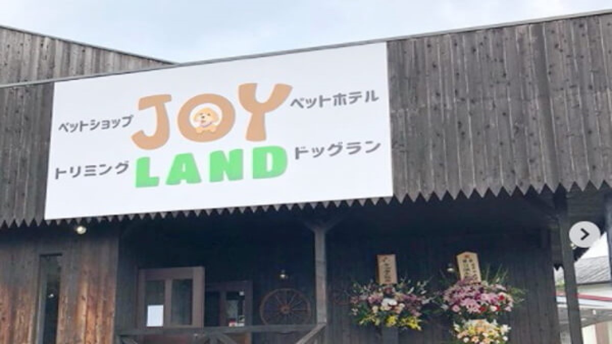 JOY LAND