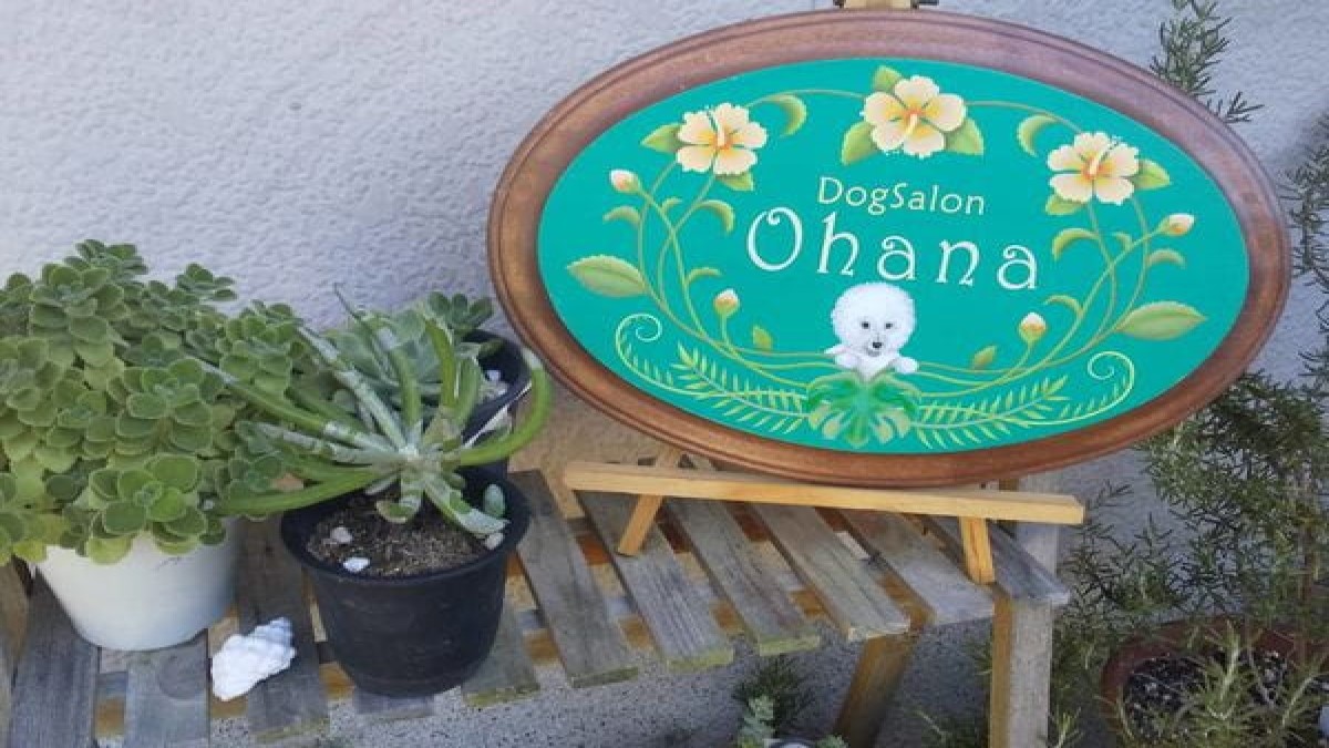 DogSalon-Ohana