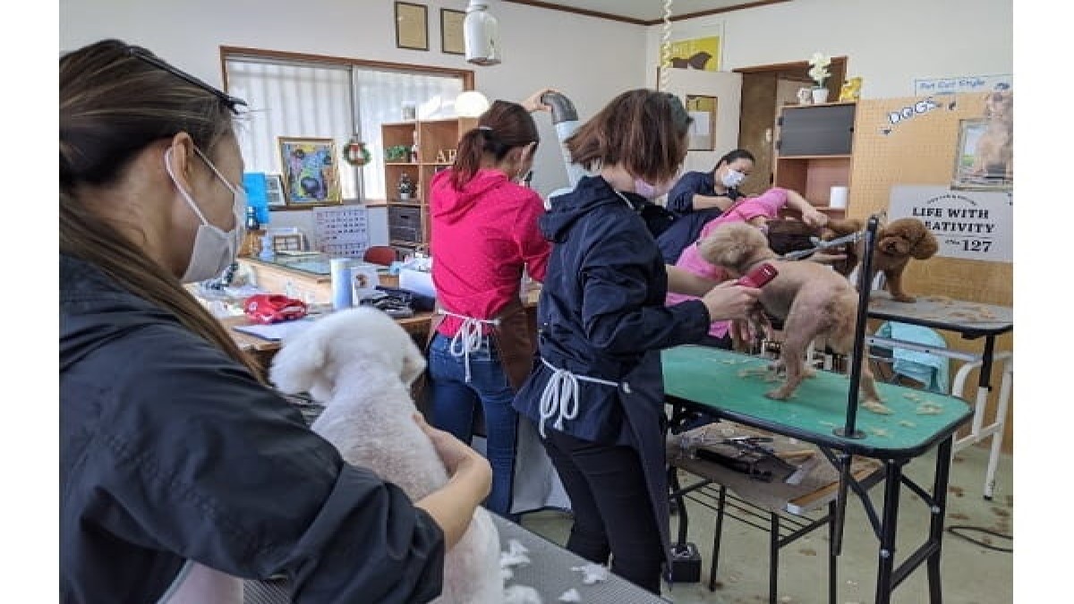 福山愛犬美容師会