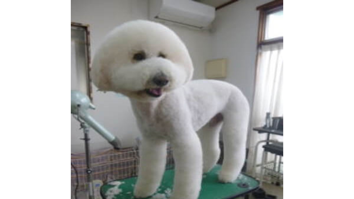 福山愛犬美容師会