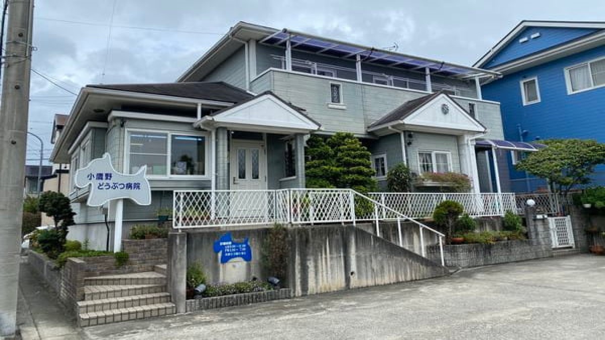 小鷹野どうぶつ病院