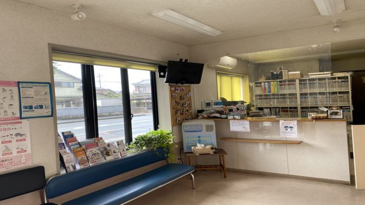 うちだ動物病院