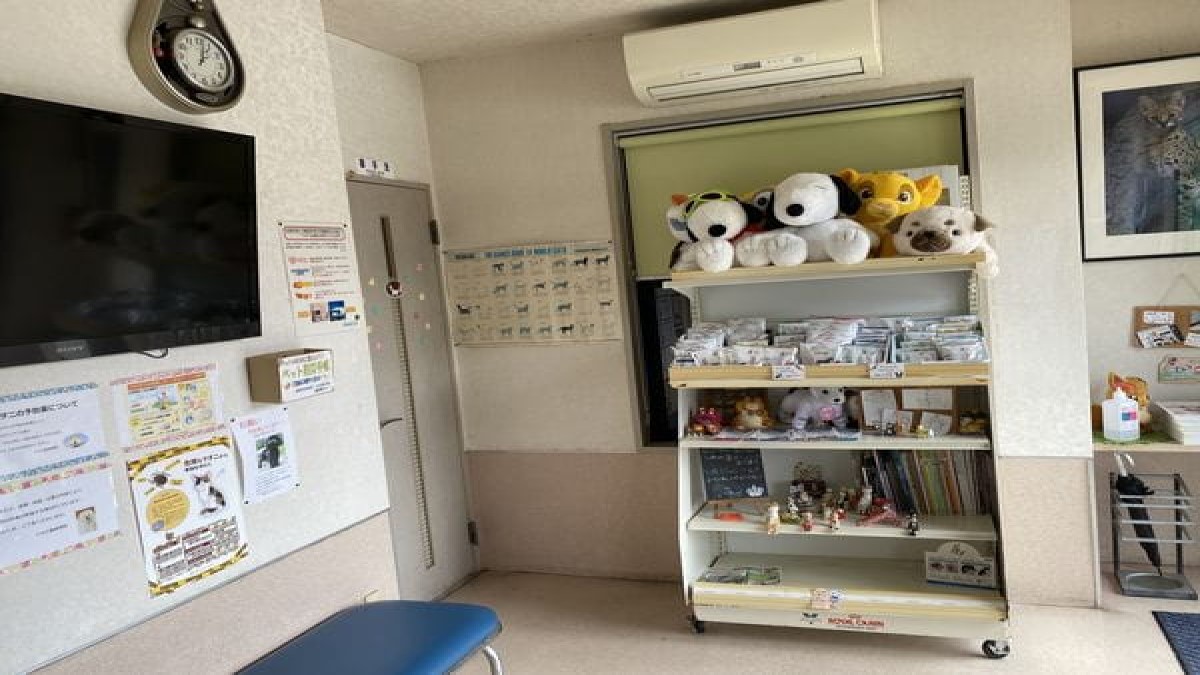 うちだ動物病院