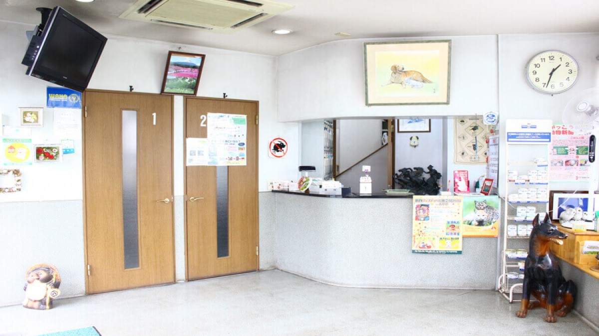 長谷川動物病院