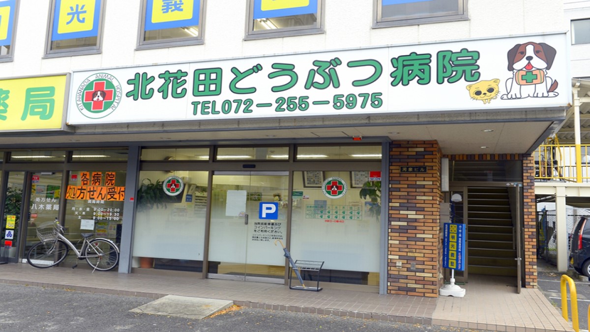 北花田どうぶつ病院