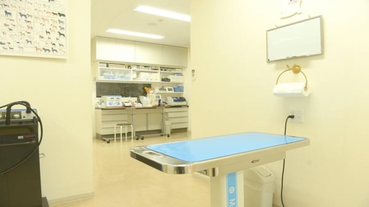 北花田どうぶつ病院