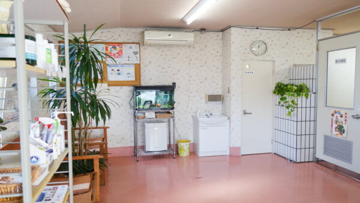 豊橋獣医科病院