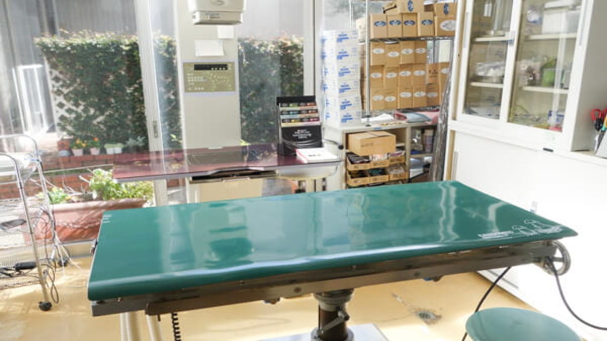 豊橋獣医科病院