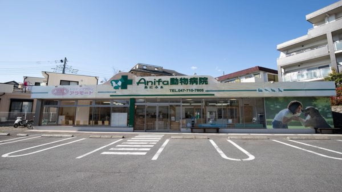 アラモード 松戸店(ホテル)