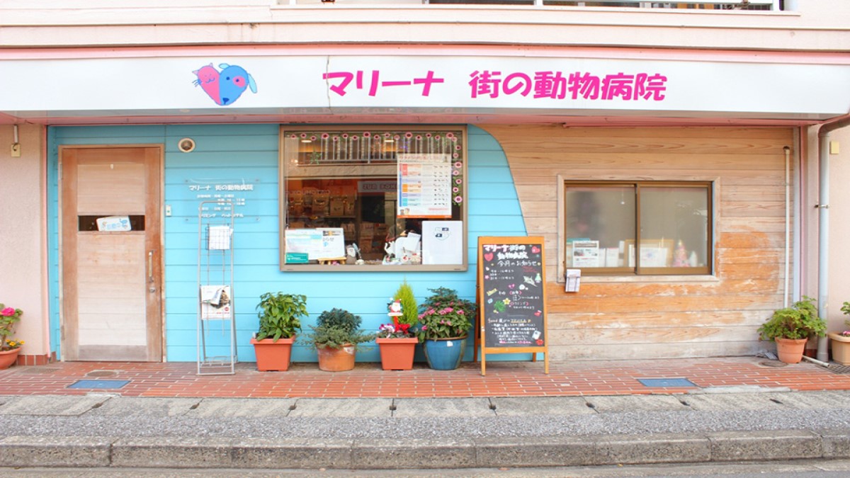 マリーナ街の動物病院