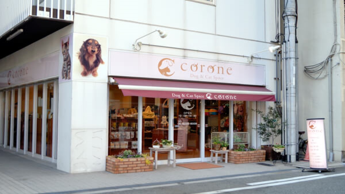 Dog&Cat Space Corone