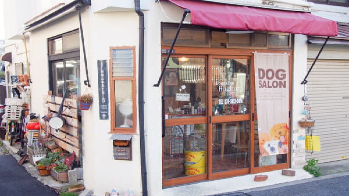 Dog salon Hughug 帝塚山店