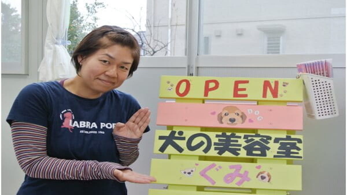 犬の美容室 ぐみ