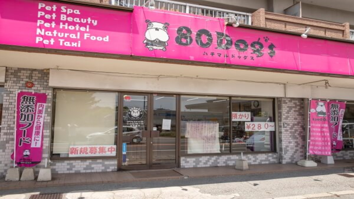 80Dog’s 粕屋東店
