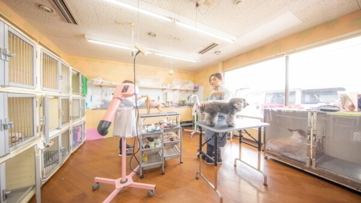 80Dog’s 粕屋東店