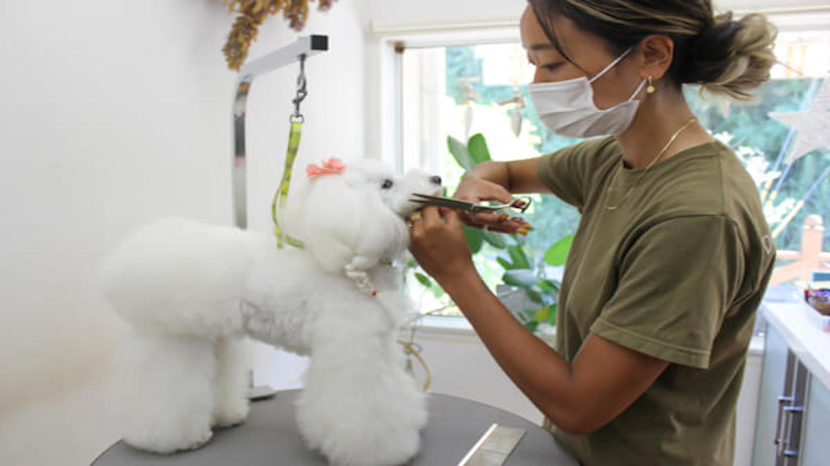 DOG SALON MAHALO