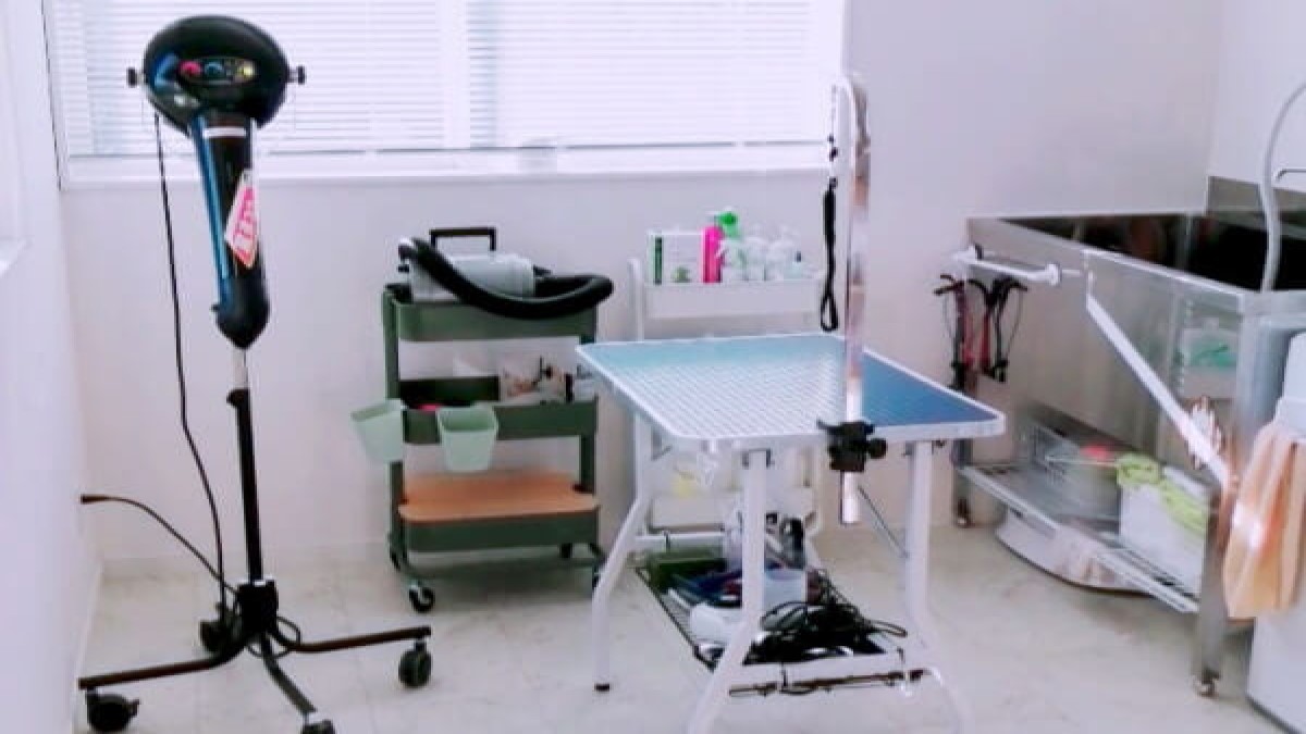 Dogsalon ロワの家