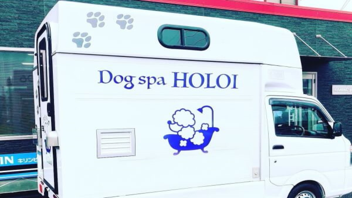 Dog spa HOLOI