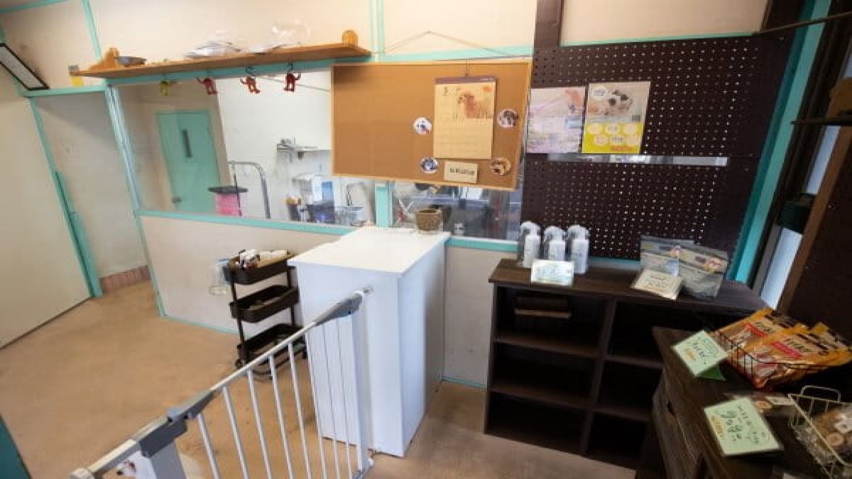 ペットサロン プープ八潮店