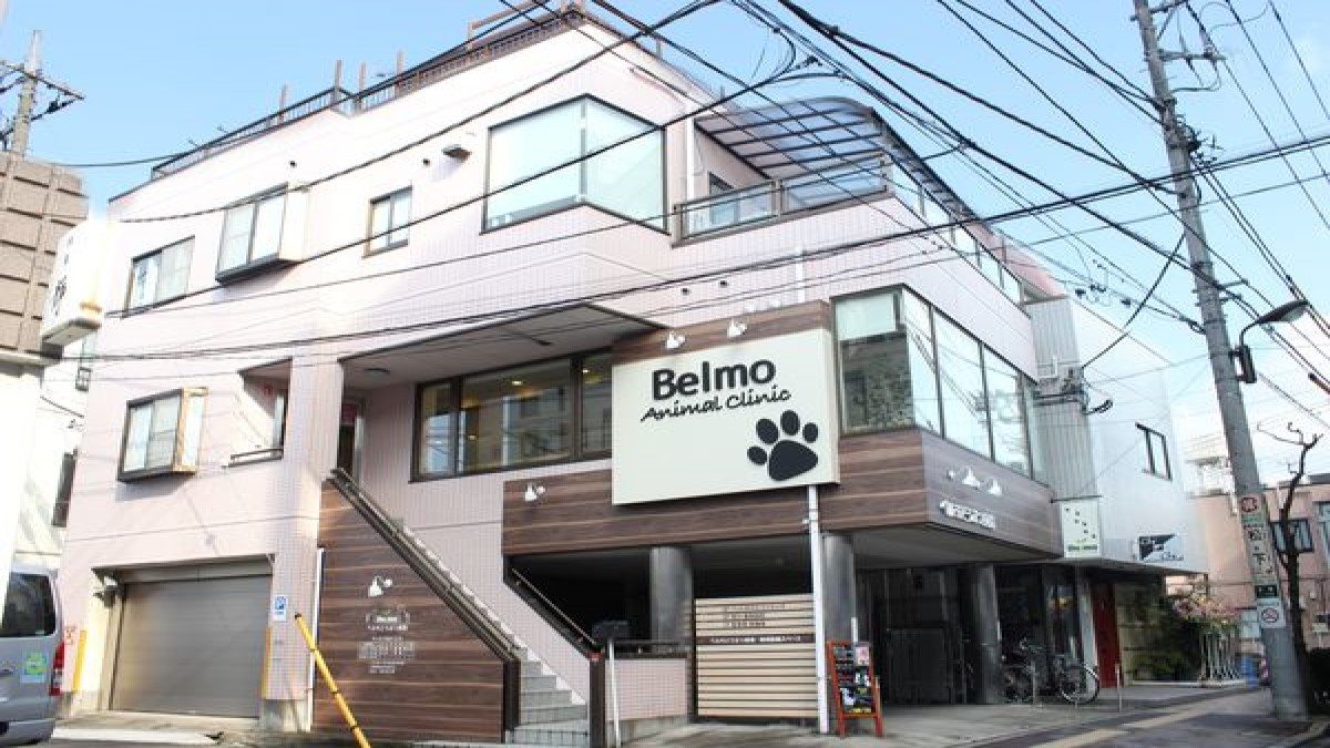 ベルモどうぶつ病院