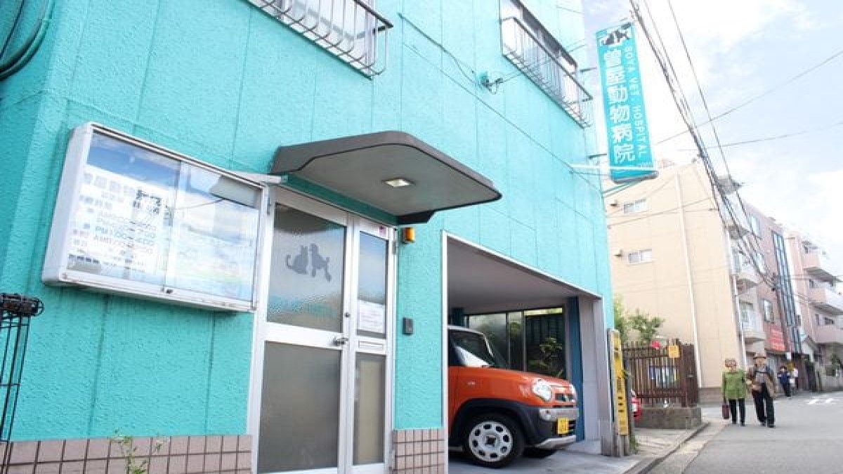 曽屋動物病院