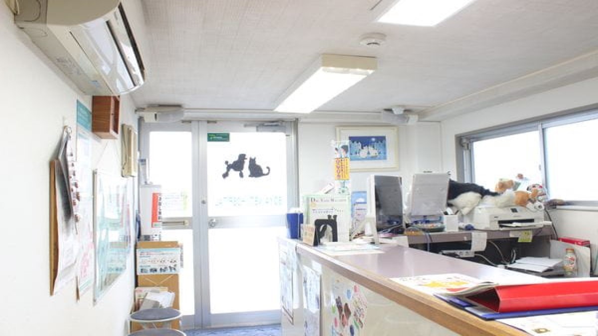 曽屋動物病院