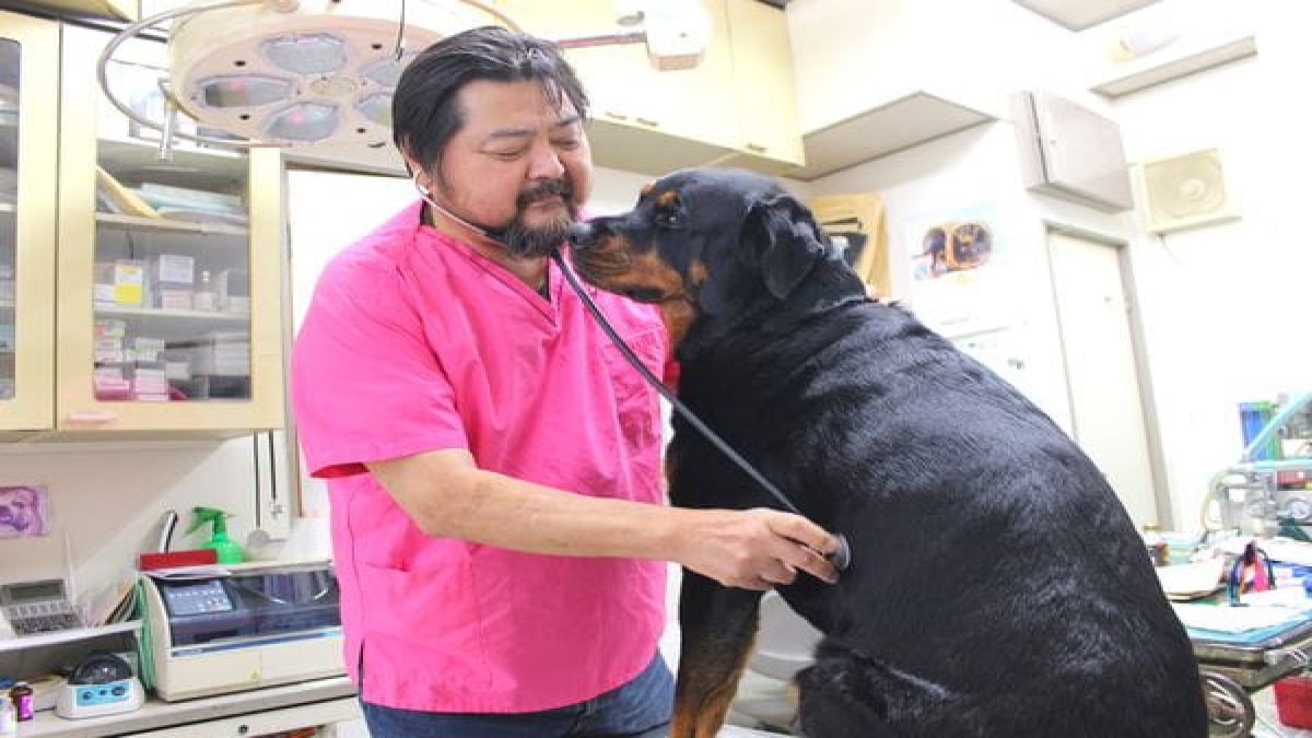 曽屋動物病院