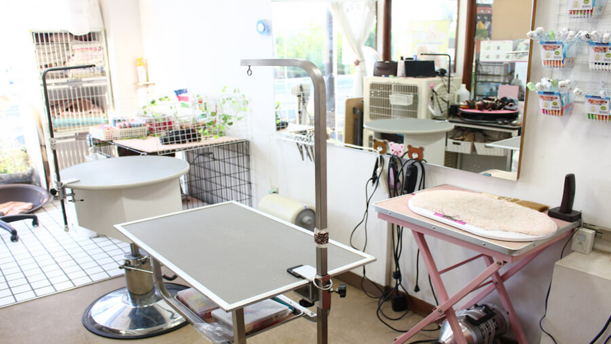 pet grooming & hotel KotaKuna base