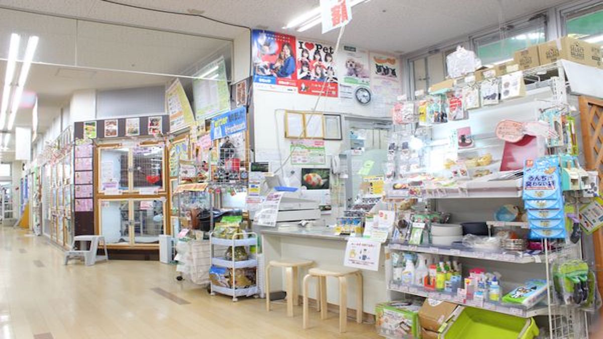 ワンダーランド杉並高井戸店